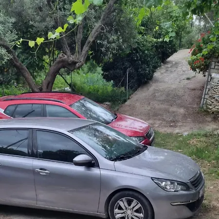 Klejdi's House Pensionat