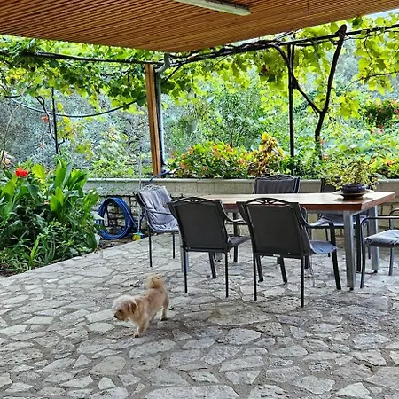 Klejdi's House Vendégház