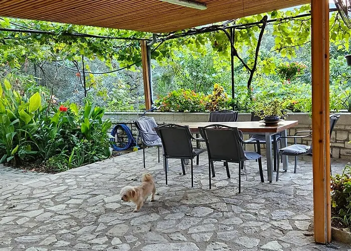 Klejdi's House Vendégház